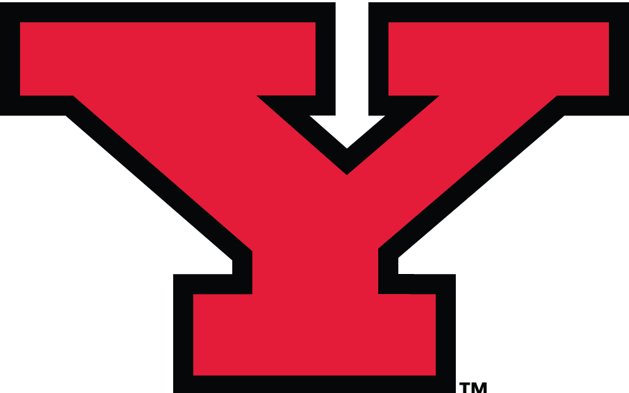 Youngstown State Penguins 1993-Pres Alternate Logo iron on transfers for fabric